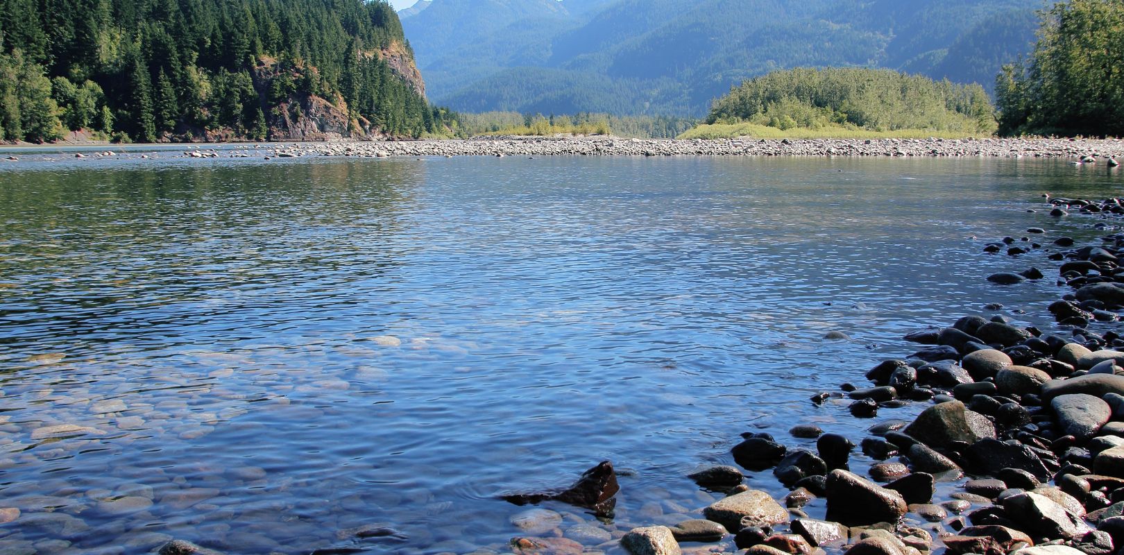 Surface Water Monitoring Process